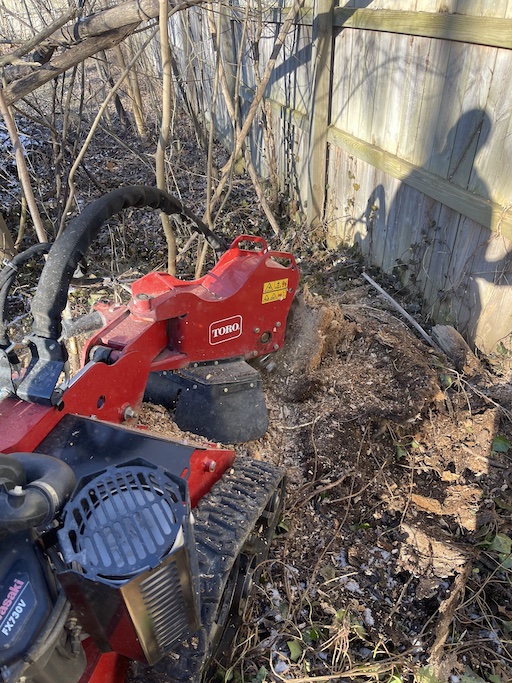 Example of tree removal stump grinding